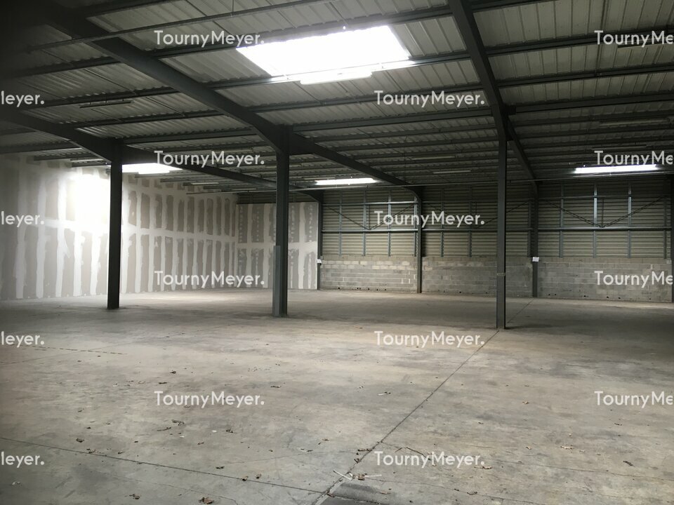 TOURNY MEYER BORDEAUX LOCATION-LOCAL D'ACTIVITE-LE_HAILLAN-33