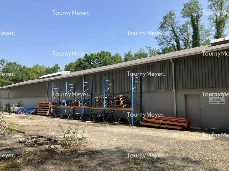 TOURNY MEYER BORDEAUX LOCATION-LOCAL D'ACTIVITE-SAINT_MEDARD_EN_JALLES-33