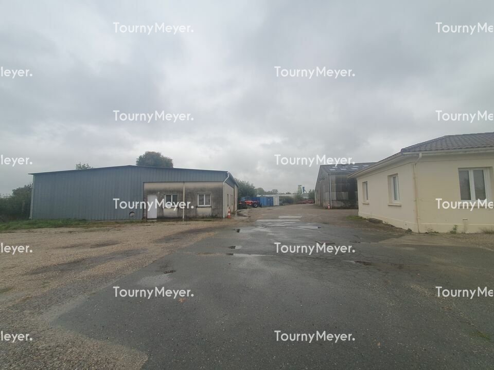 TOURNY MEYER BORDEAUX VENTE-LOCAL D'ACTIVITE-SAINT-LOUIS-DE-MONTFERRAND-33