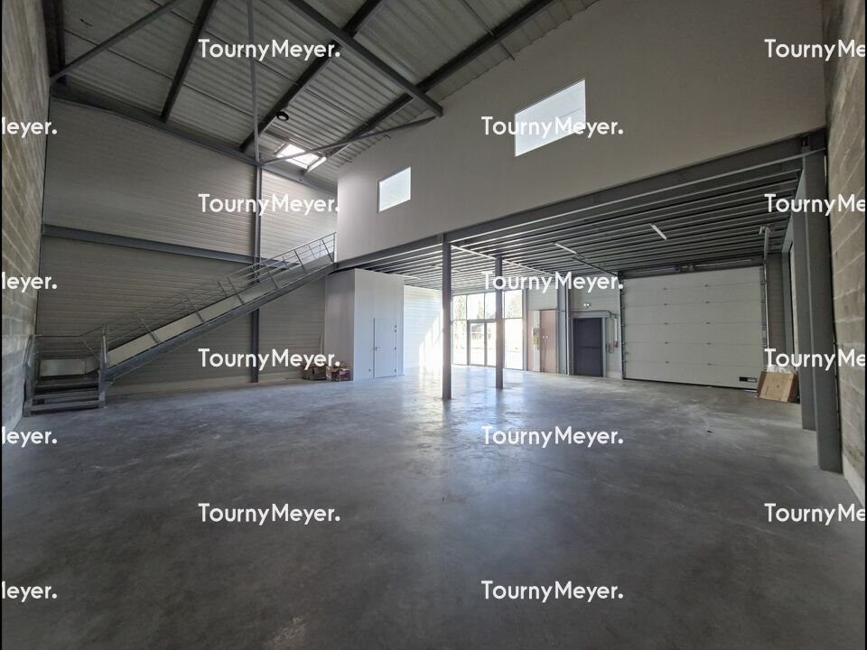 TOURNY MEYER BORDEAUX LOCATION-LOCAL D'ACTIVITE-AMBARES_ET_LAGRAVE-33