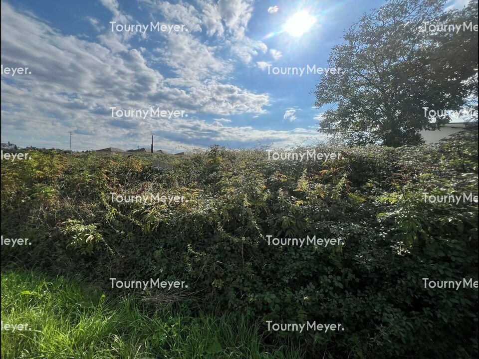 TOURNY MEYER BAYONNE VENTE-TERRAIN-LESCAR-64