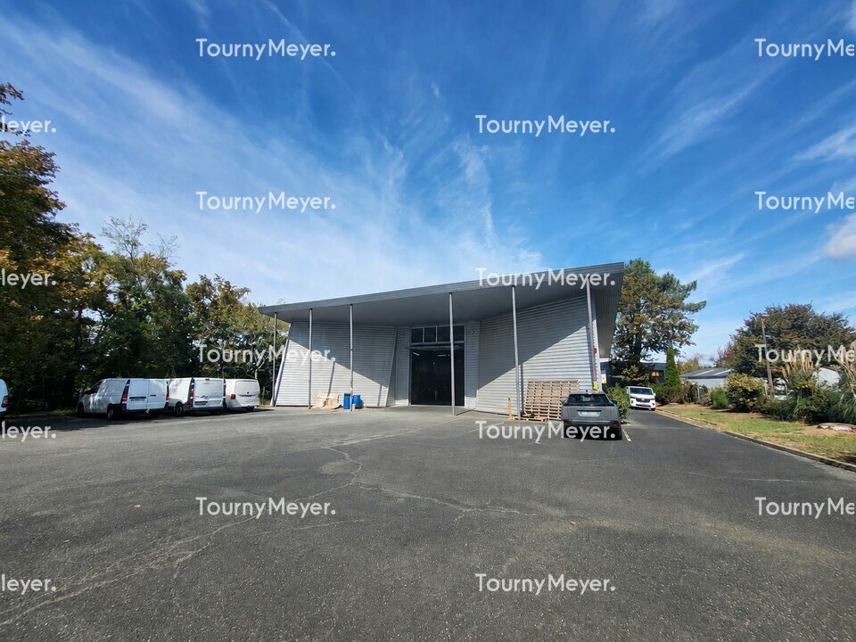 TOURNY MEYER BAYONNE LOCATION-LOCAL D'ACTIVITE-SEIGNOSSE-40