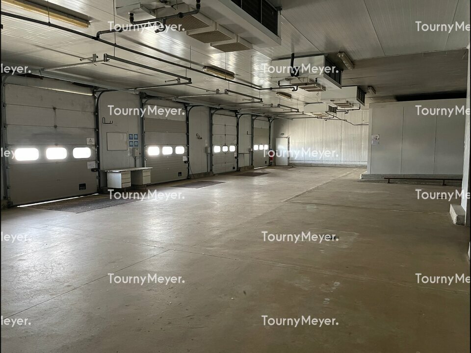 TOURNY MEYER BAYONNE LOCATION-LOCAL D'ACTIVITE-MOUGUERRE-64