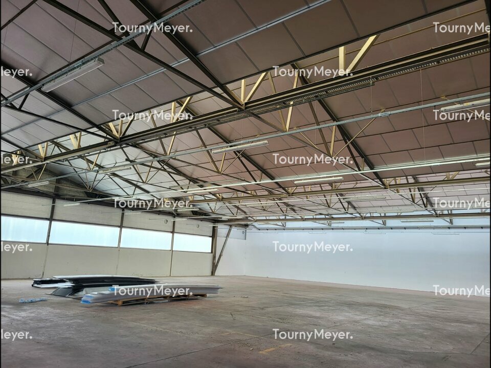 TOURNY MEYER BAYONNE LOCATION-LOCAL D'ACTIVITE-PAU-64
