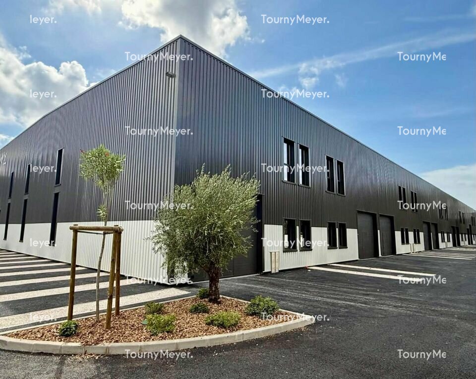 TOURNY MEYER MONTPELLIER LOCATION-LOCAL D'ACTIVITE-LATTES-34