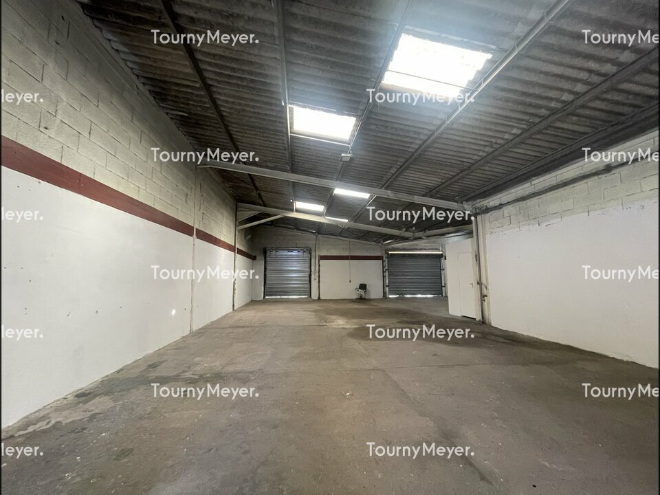 TOURNY MEYER MONTPELLIER LOCATION-LOCAL D'ACTIVITE-SAINT_GEORGES_D'ORQUES-34