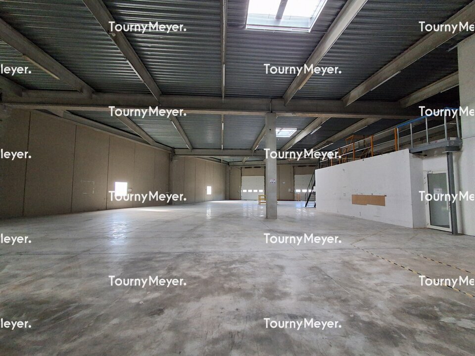 TOURNY MEYER MONTPELLIER LOCATION-LOCAL D'ACTIVITE-SAINT-JEAN-DE-VEDAS-34