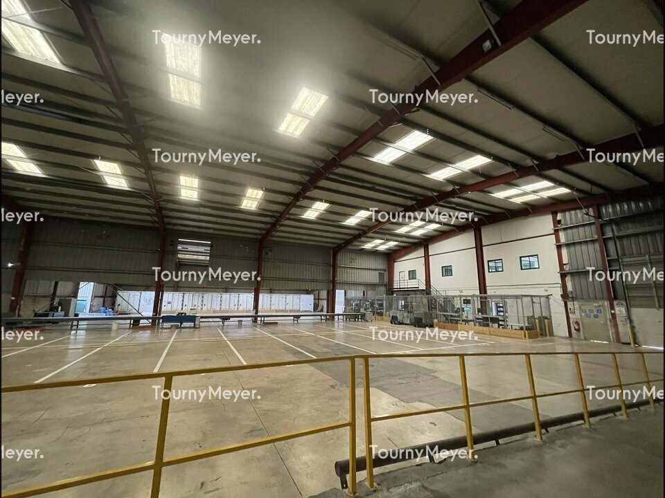 TOURNY MEYER MONTPELLIER LOCATION-LOCAL D'ACTIVITE-BAILLARGUES-34
