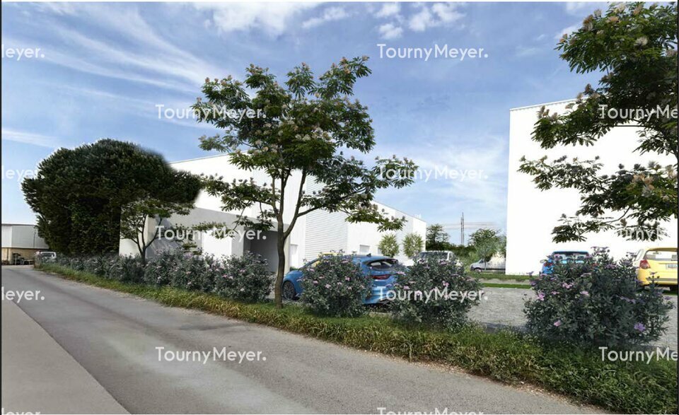 TOURNY MEYER MONTPELLIER VENTE-LOCAL D'ACTIVITE-LUNEL-34