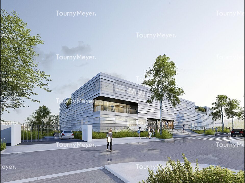 TOURNY MEYER MONTPELLIER LOCATION-BUREAUX-MONTPELLIER-34