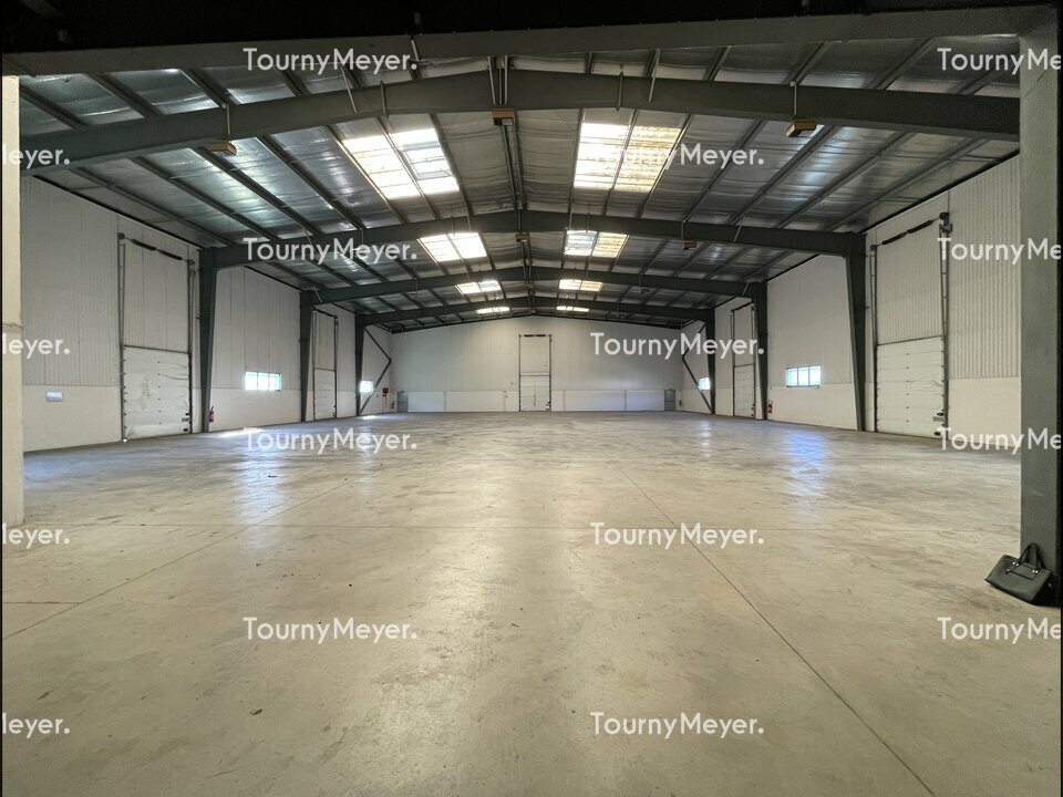 TOURNY MEYER MONTPELLIER VENTE-LOCAL D'ACTIVITE-MAUGUIO-34