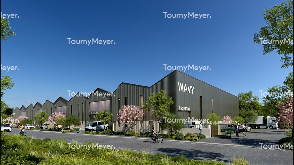 TOURNY MEYER MONTPELLIER LOCATION-LOCAL D'ACTIVITE-LATTES-34