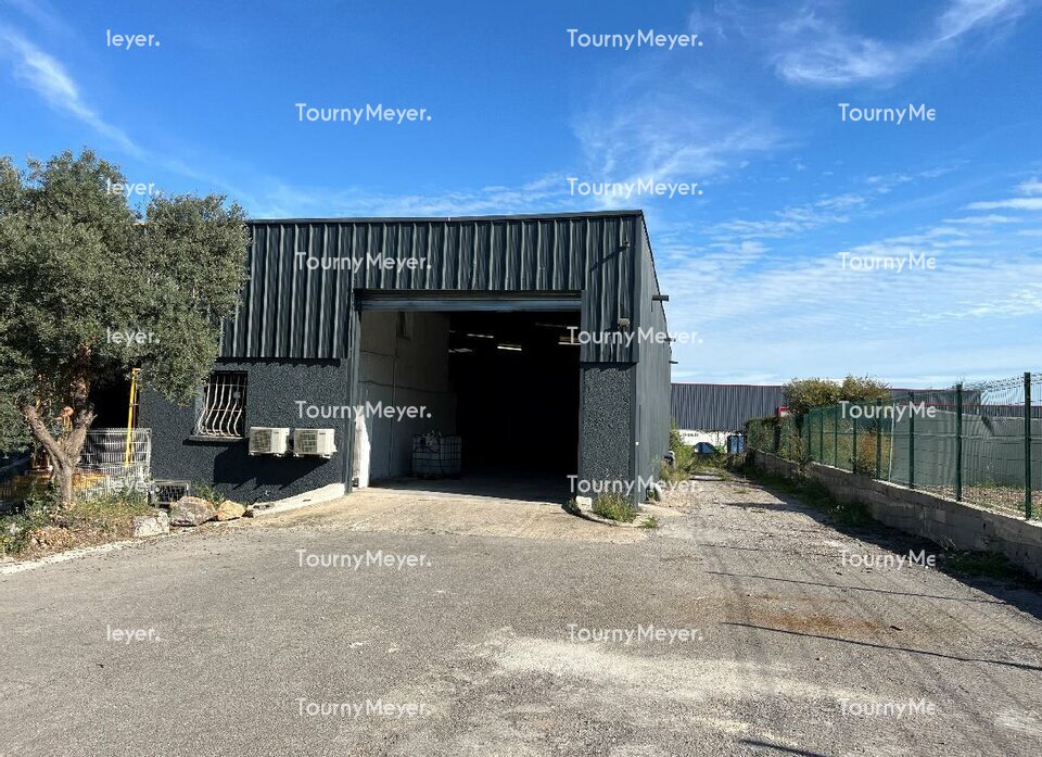 TOURNY MEYER MONTPELLIER LOCATION-LOCAL D'ACTIVITE-SAINT-JEAN-DE-VEDAS-34