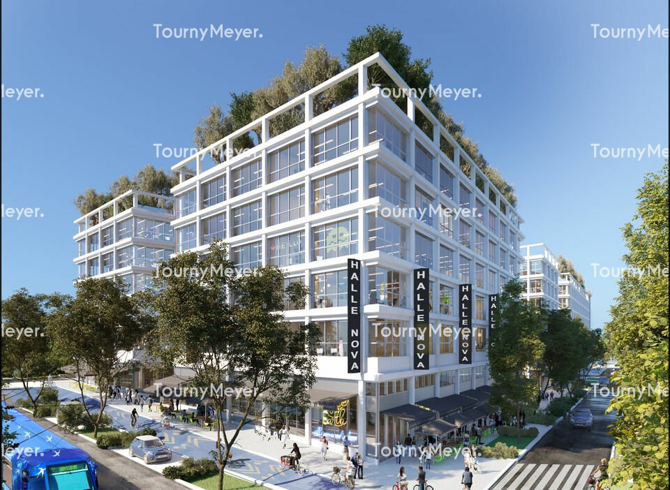 TOURNY MEYER MONTPELLIER LOCATION-BUREAUX-MONTPELLIER-34