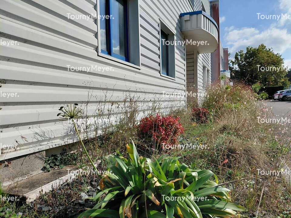 TOURNY MEYER NANTES LOCATION-LOCAL D'ACTIVITE-LA_CHAPELLE-SUR-ERDRE-44