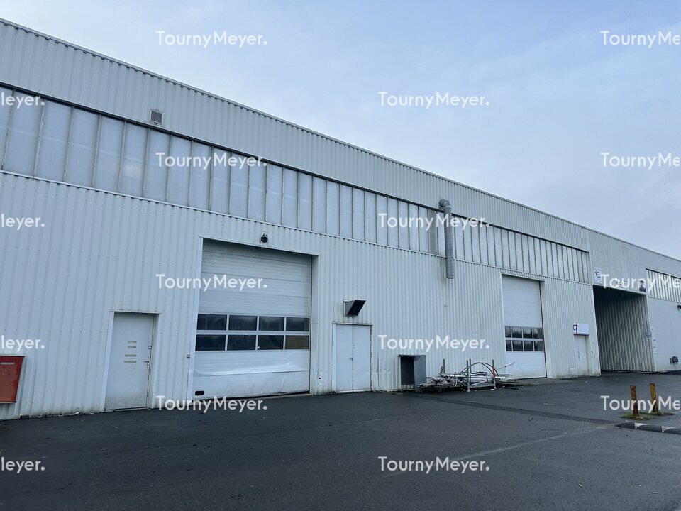 TOURNY MEYER NANTES LOCATION-LOCAL D'ACTIVITE-MALVILLE-44