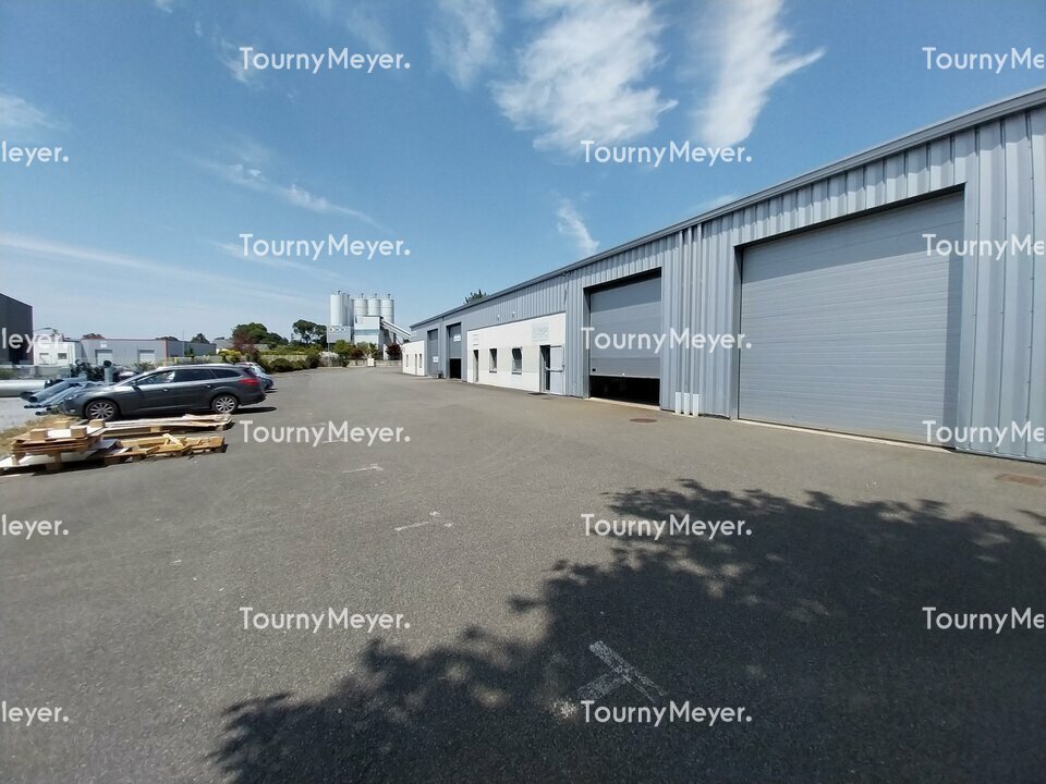 TOURNY MEYER NANTES LOCATION-LOCAL D'ACTIVITE-THOUARE-SUR-LOIRE-44
