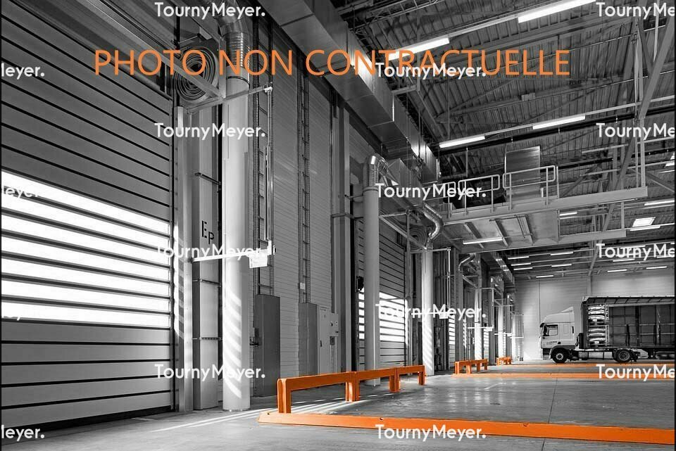 TOURNY MEYER NANTES LOCATION-LOCAL D'ACTIVITE-LES_SORINIERES-44