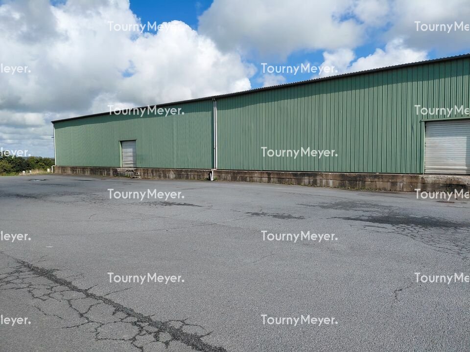 TOURNY MEYER RENNES LOCATION-LOCAL D'ACTIVITE-RETIERS-35
