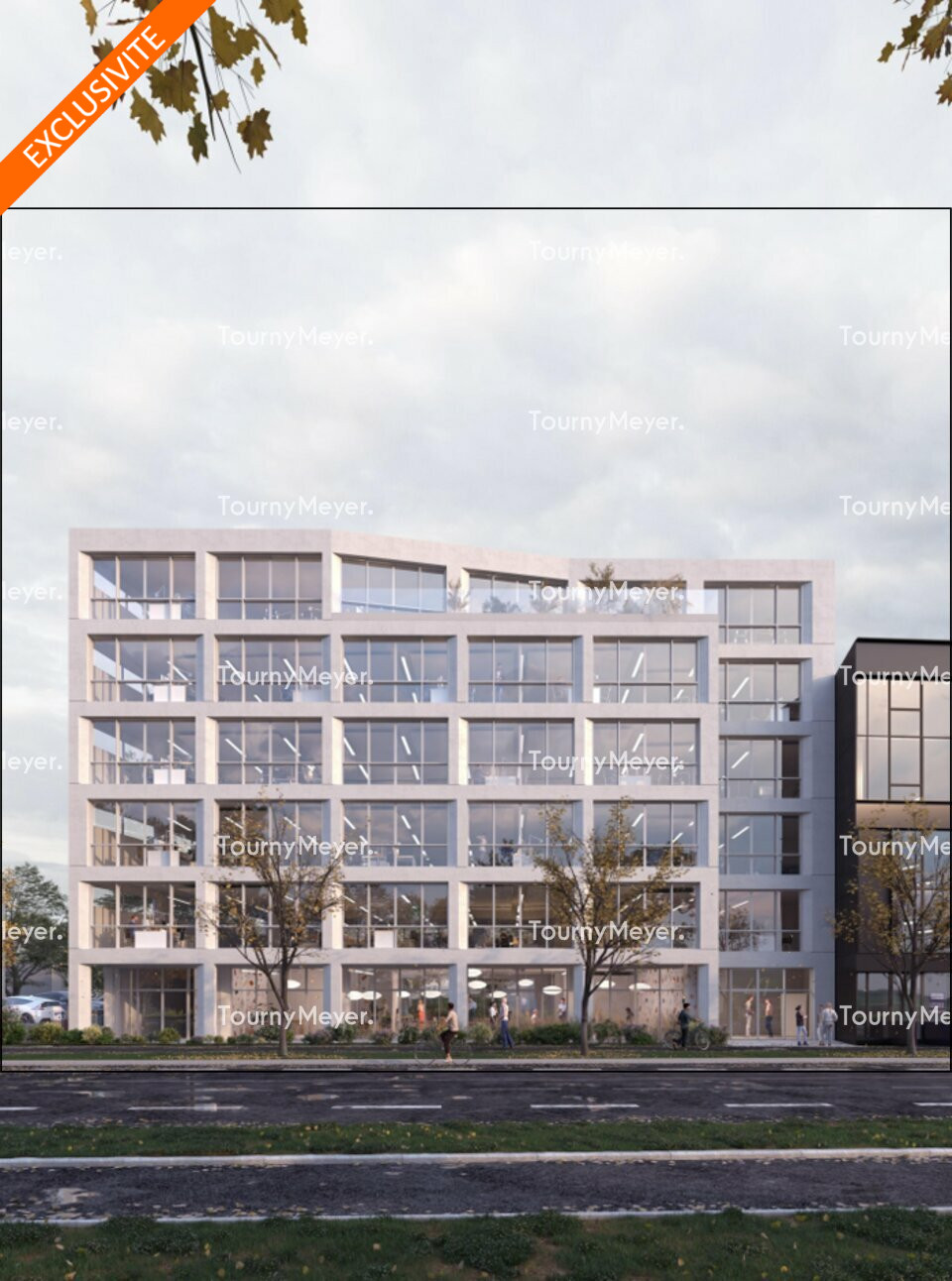 TOURNY MEYER RENNES LOCATION-BUREAUX-RENNES-35