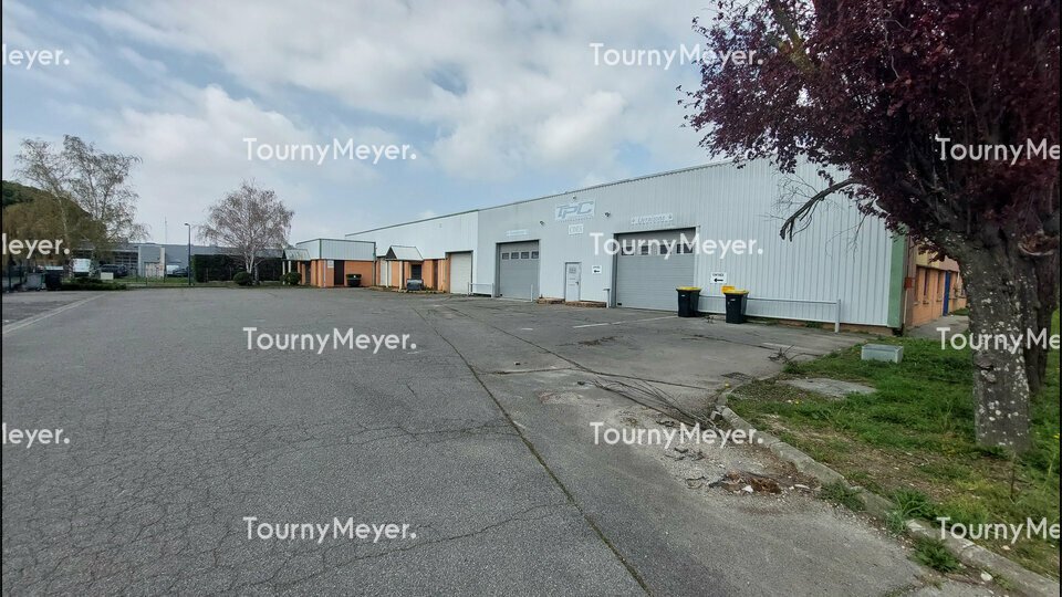 TOURNY MEYER TOULOUSE LOCATION-LOCAL D'ACTIVITE-TOULOUSE-31