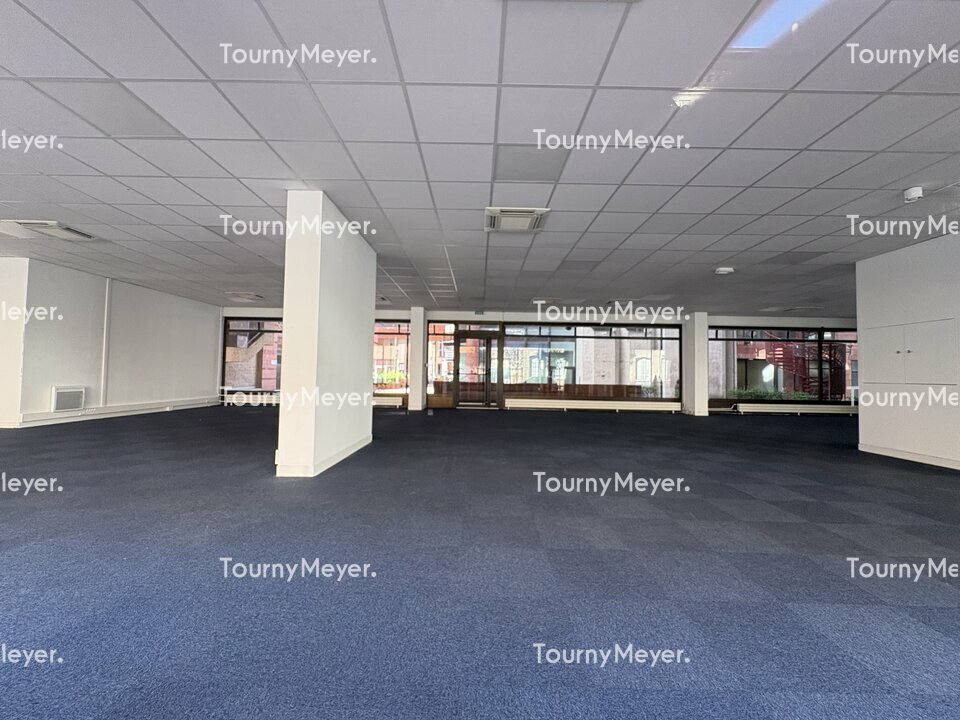TOURNY MEYER TOULOUSE LOCATION-BUREAUX-TOULOUSE-31