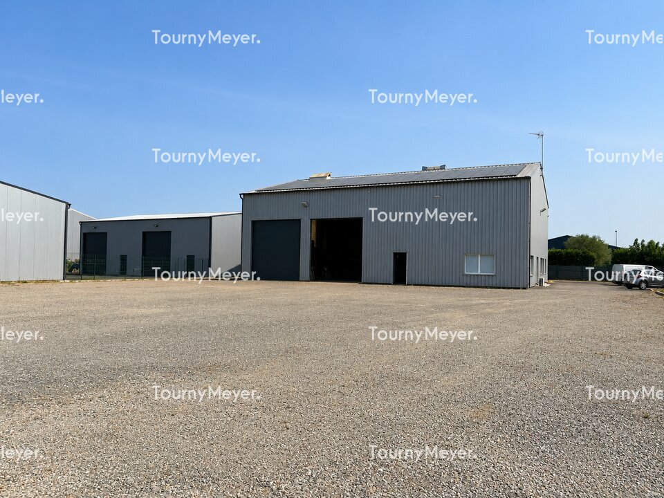 TOURNY MEYER TOULOUSE LOCATION-LOCAL D'ACTIVITE-NOE-31