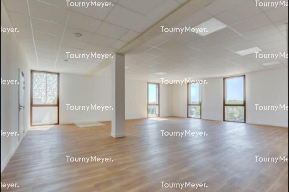 TOURNY MEYER TOULOUSE LOCATION-BUREAUX-MURET-31
