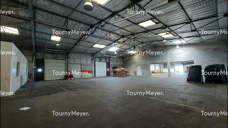 TOURNY MEYER TOULOUSE LOCATION-LOCAL D'ACTIVITE-TOULOUSE-31
