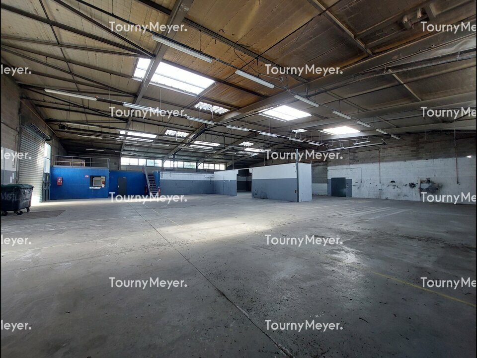 TOURNY MEYER TOULOUSE LOCATION-LOCAL D'ACTIVITE-COLOMIERS-31