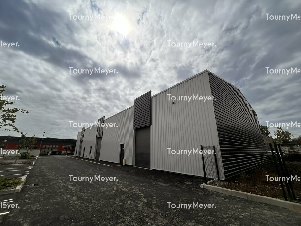 TOURNY MEYER TOULOUSE LOCATION-LOCAL D'ACTIVITE-SAINT-JORY-31