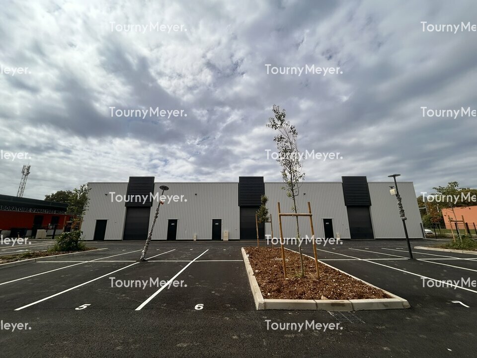 TOURNY MEYER TOULOUSE LOCATION-LOCAL D'ACTIVITE-SAINT-JORY-31
