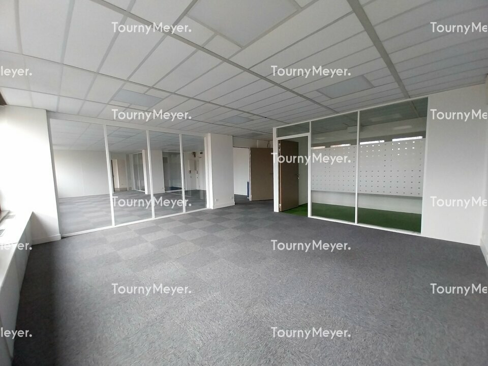 TOURNY MEYER TOULOUSE LOCATION-BUREAUX-TOULOUSE-31