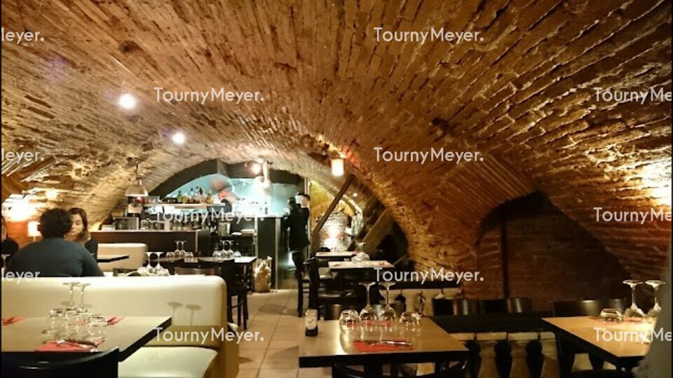 TOURNY MEYER TOULOUSE LOCATION-LOCAL COMMERCIAL-TOULOUSE-31