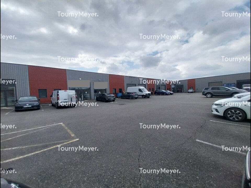 TOURNY MEYER TOULOUSE LOCATION-LOCAL D'ACTIVITE-MONTRABE-31