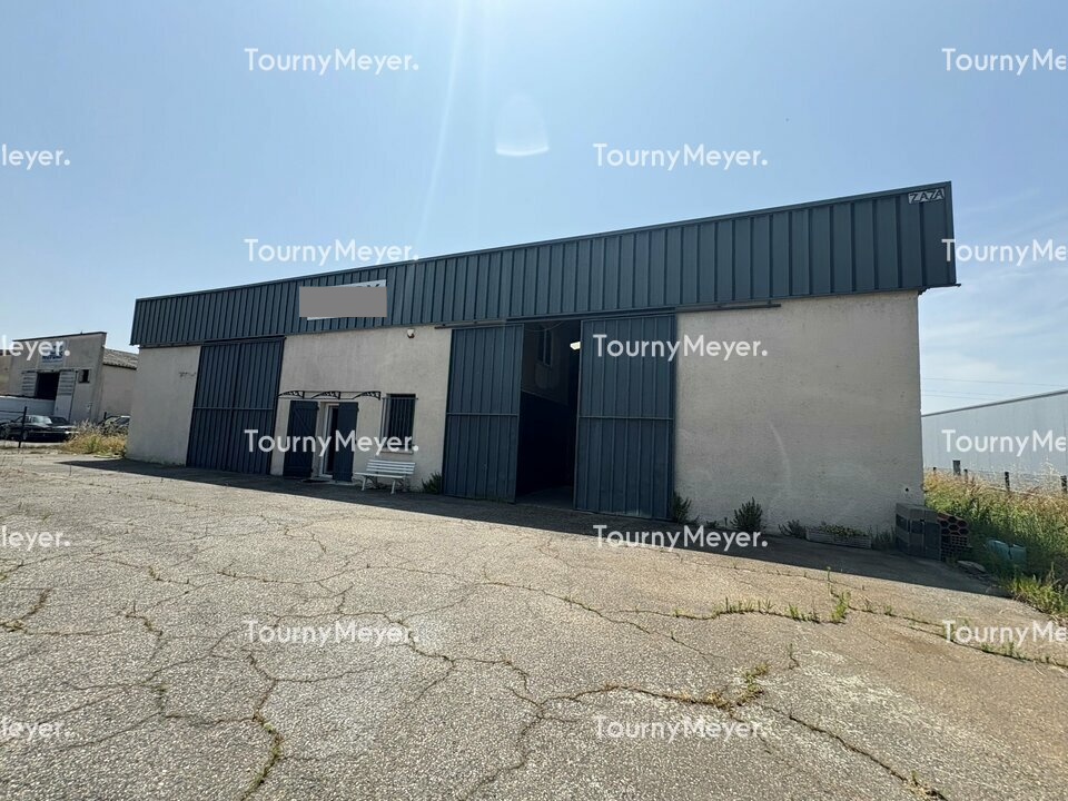 TOURNY MEYER TOULOUSE LOCATION-LOCAL D'ACTIVITE-SAINT_ALBAN-31