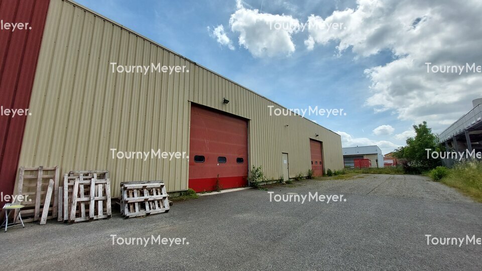TOURNY MEYER TOULOUSE LOCATION-LOCAL D'ACTIVITE-TOULOUSE-31