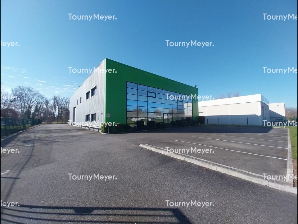 TOURNY MEYER TOULOUSE LOCATION-LOCAL D'ACTIVITE-VILLENEUVE_LES_BOULOC-31