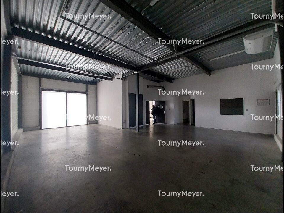 TOURNY MEYER TOULOUSE LOCATION-LOCAL D'ACTIVITE-TOULOUSE-31
