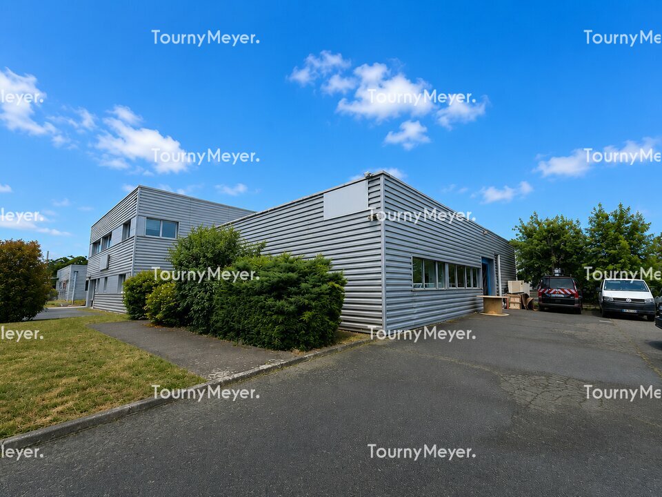 TOURNY MEYER TOULOUSE LOCATION-LOCAL D'ACTIVITE-L'UNION-31