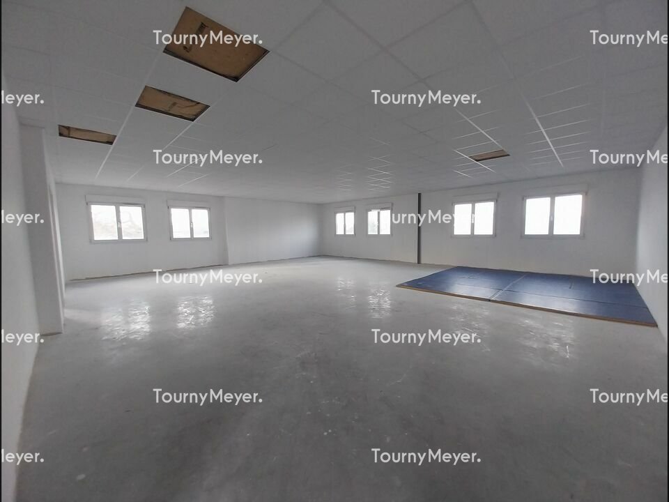 TOURNY MEYER TOULOUSE LOCATION-BUREAUX-TOULOUSE-31