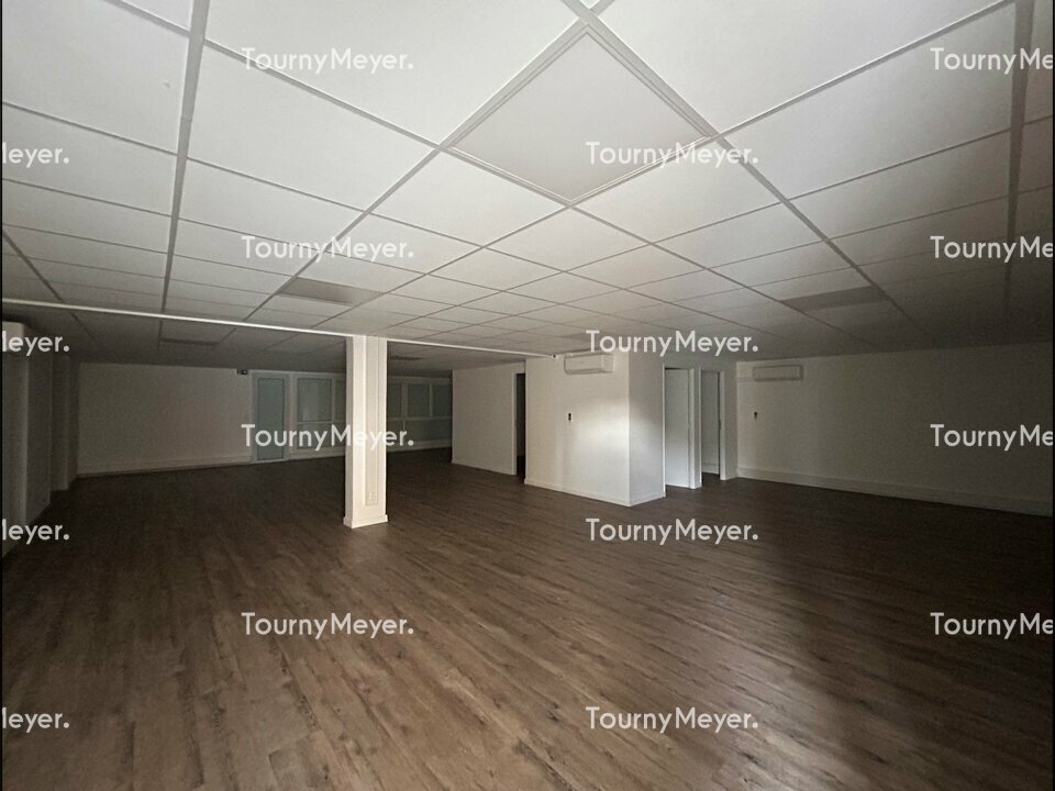 TOURNY MEYER TOULOUSE LOCATION-BUREAUX-TOULOUSE-31