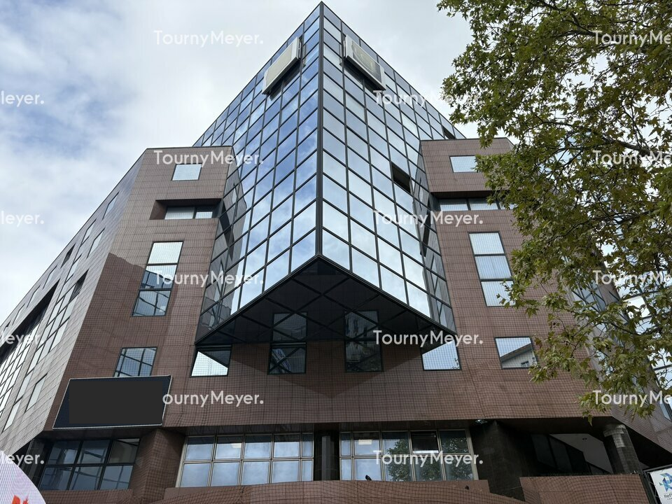 TOURNY MEYER TOULOUSE LOCATION-BUREAUX-TOULOUSE-31