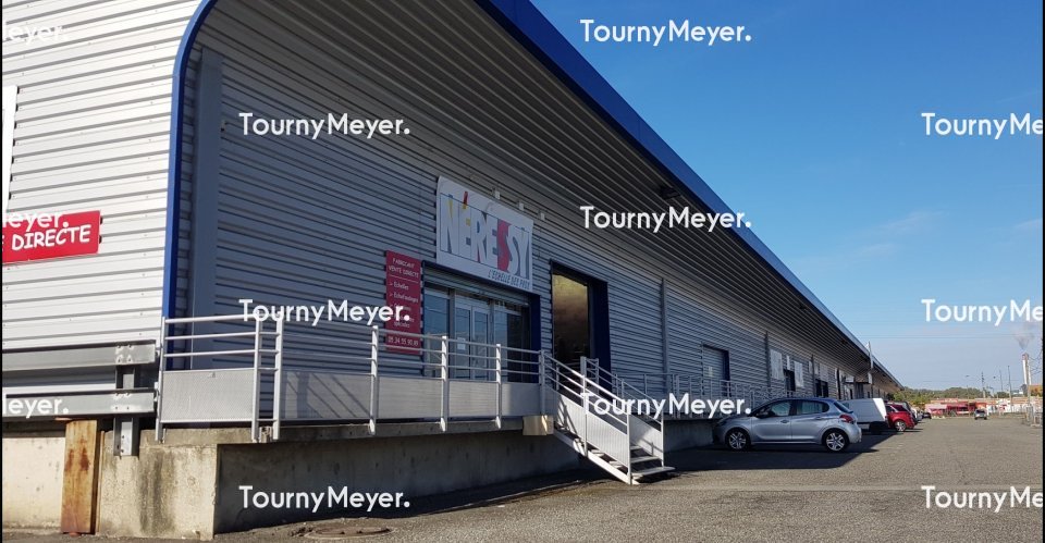 TOURNY MEYER TOULOUSE LOCATION-LOCAL D'ACTIVITE-TOULOUSE-31