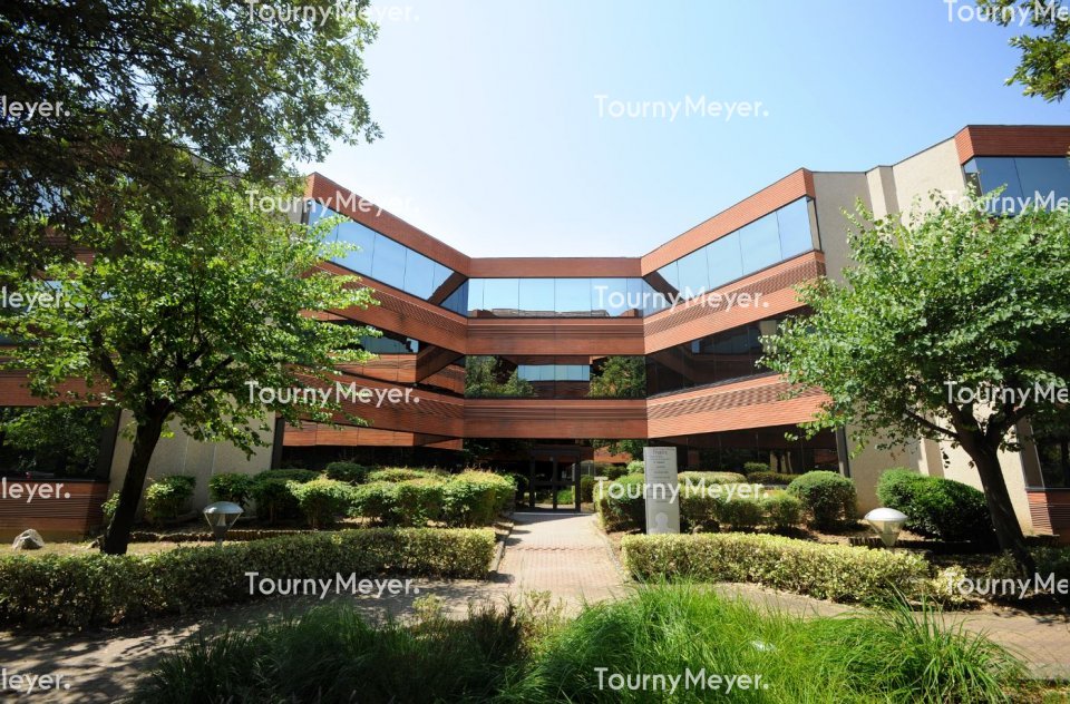 TOURNY MEYER TOULOUSE LOCATION-BUREAUX-BLAGNAC-31