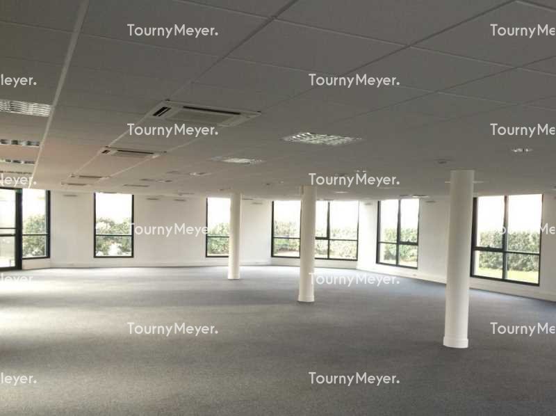 TOURNY MEYER TOULOUSE LOCATION-BUREAUX-TOULOUSE-31