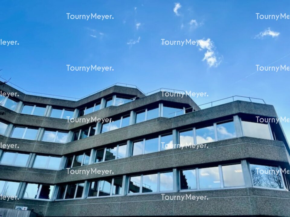 TOURNY MEYER TOULOUSE LOCATION-BUREAUX-TOULOUSE-31