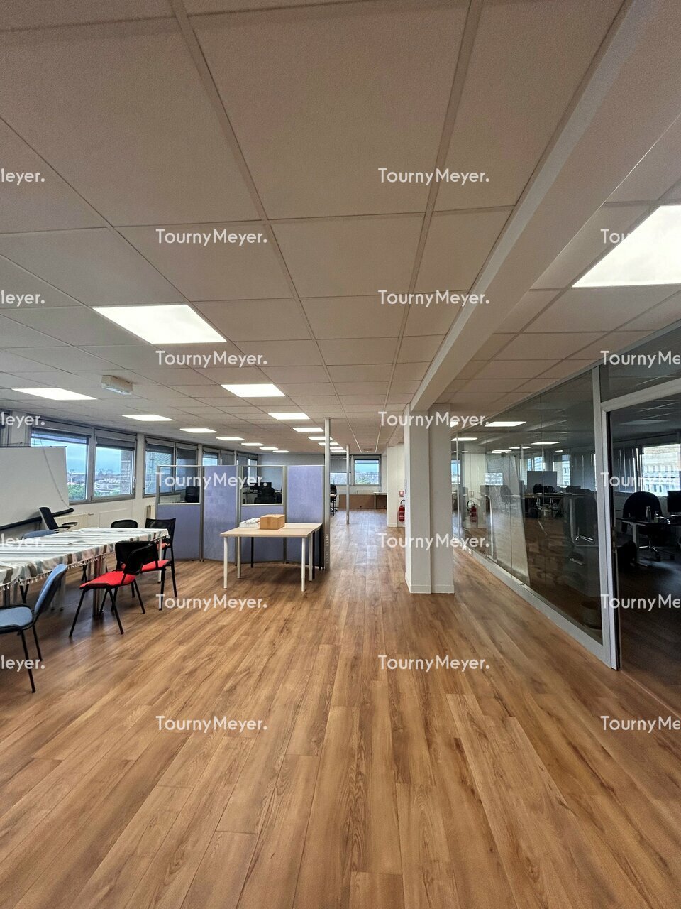 TOURNY MEYER TOULOUSE LOCATION-BUREAUX-TOULOUSE-31