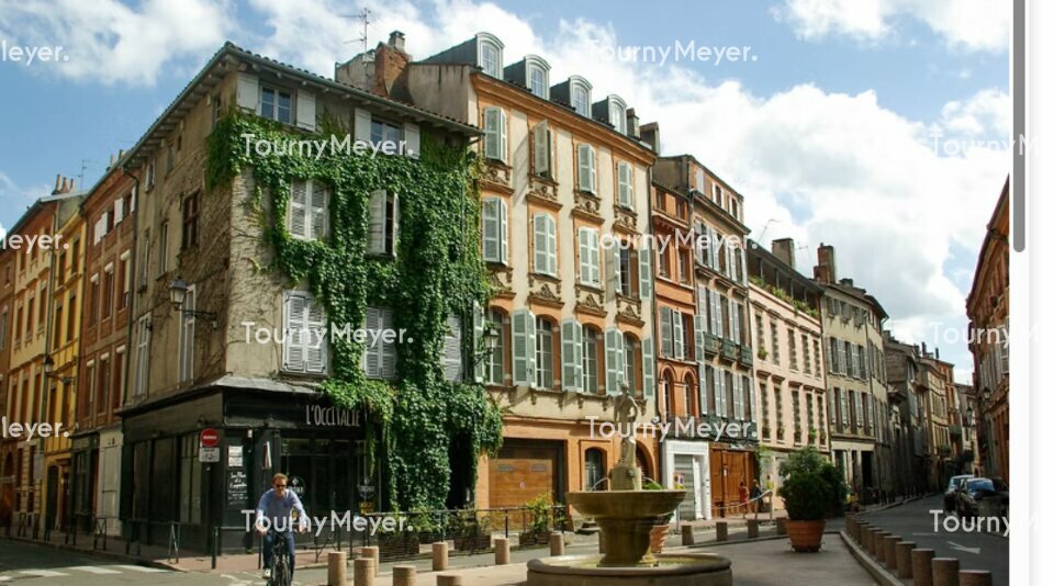 TOURNY MEYER TOULOUSE VENTE-FONDS DE COMMERCE-TOULOUSE-31