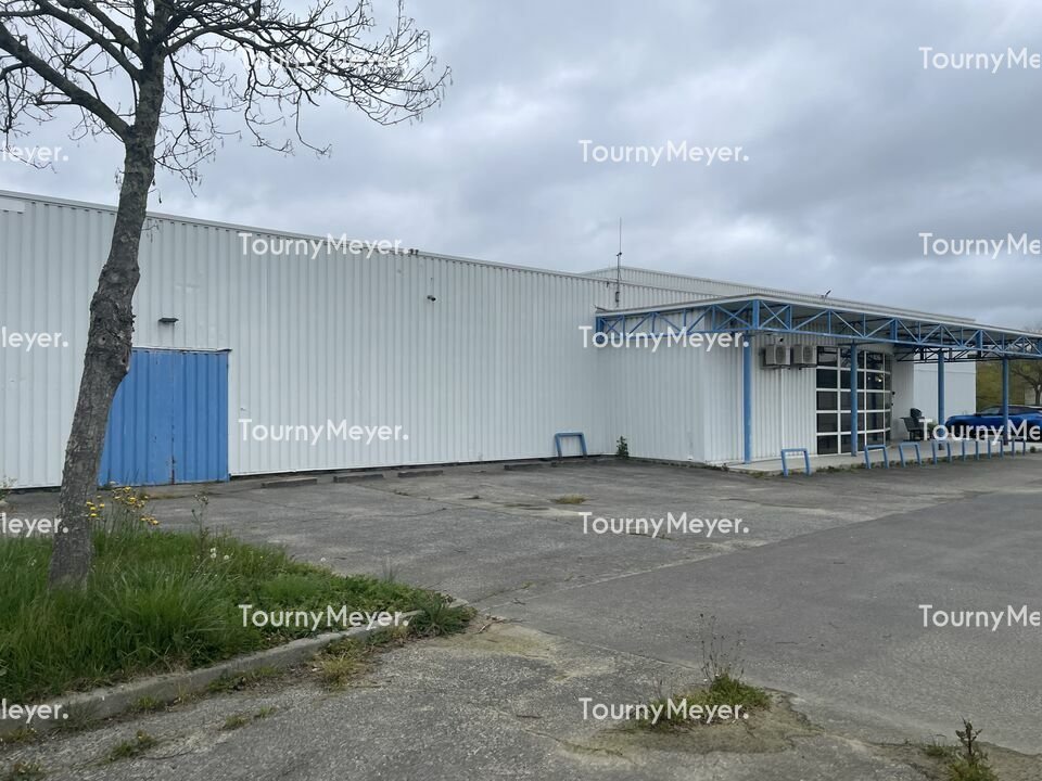 TOURNY MEYER TOULOUSE LOCATION-LOCAL D'ACTIVITE-L'UNION-31